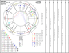 Transits and Progressions report